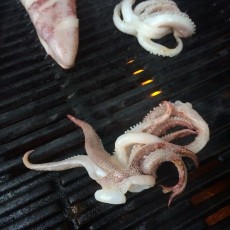 grily_grilovane-chobotnice